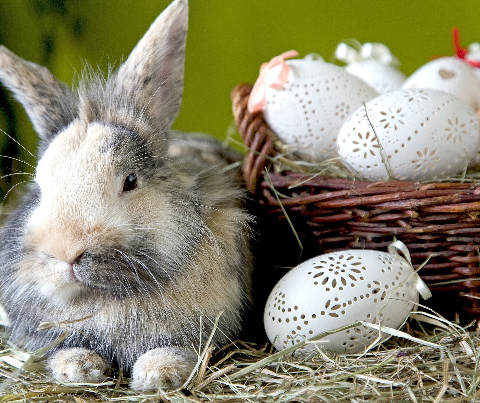 Ostern: Eier im Spitzenkleid