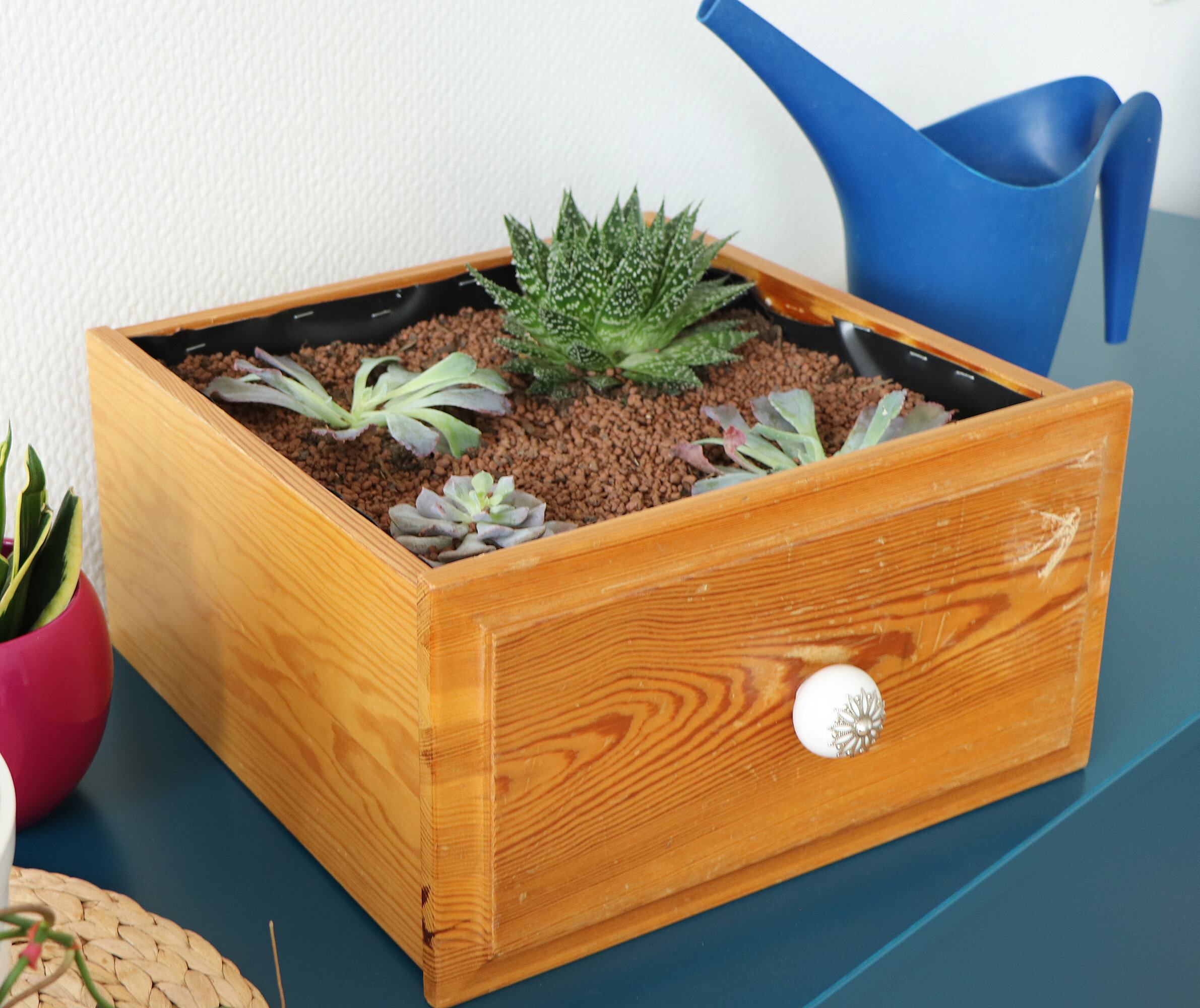 Upcycling-Projekt: Bepflanzte Schublade