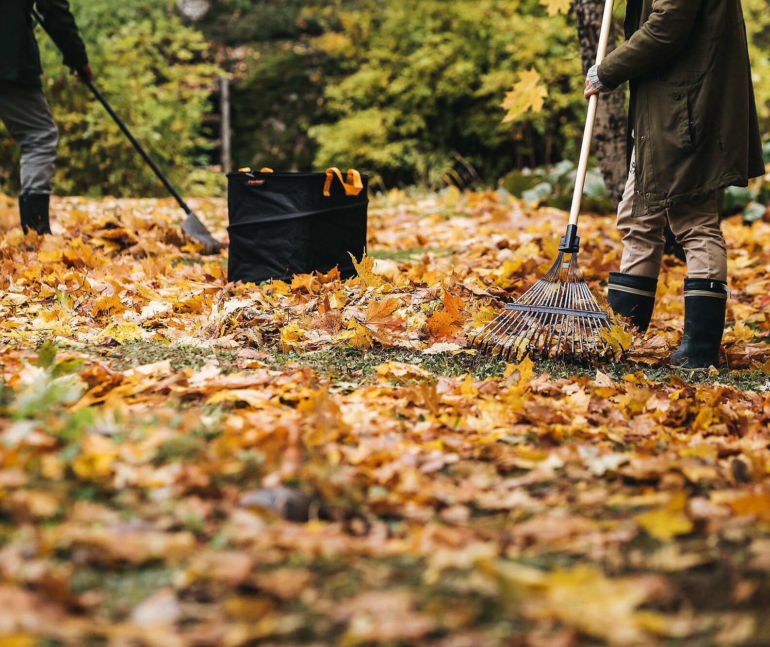 Laubfrei durch den Herbst