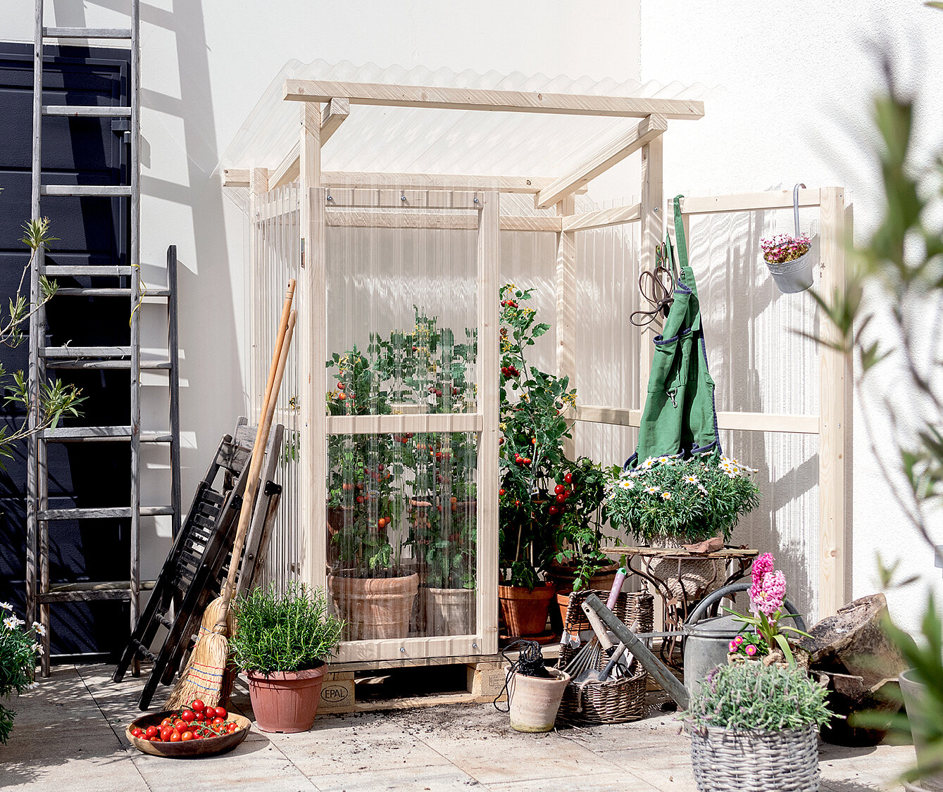 Gewächshaus für Tomaten