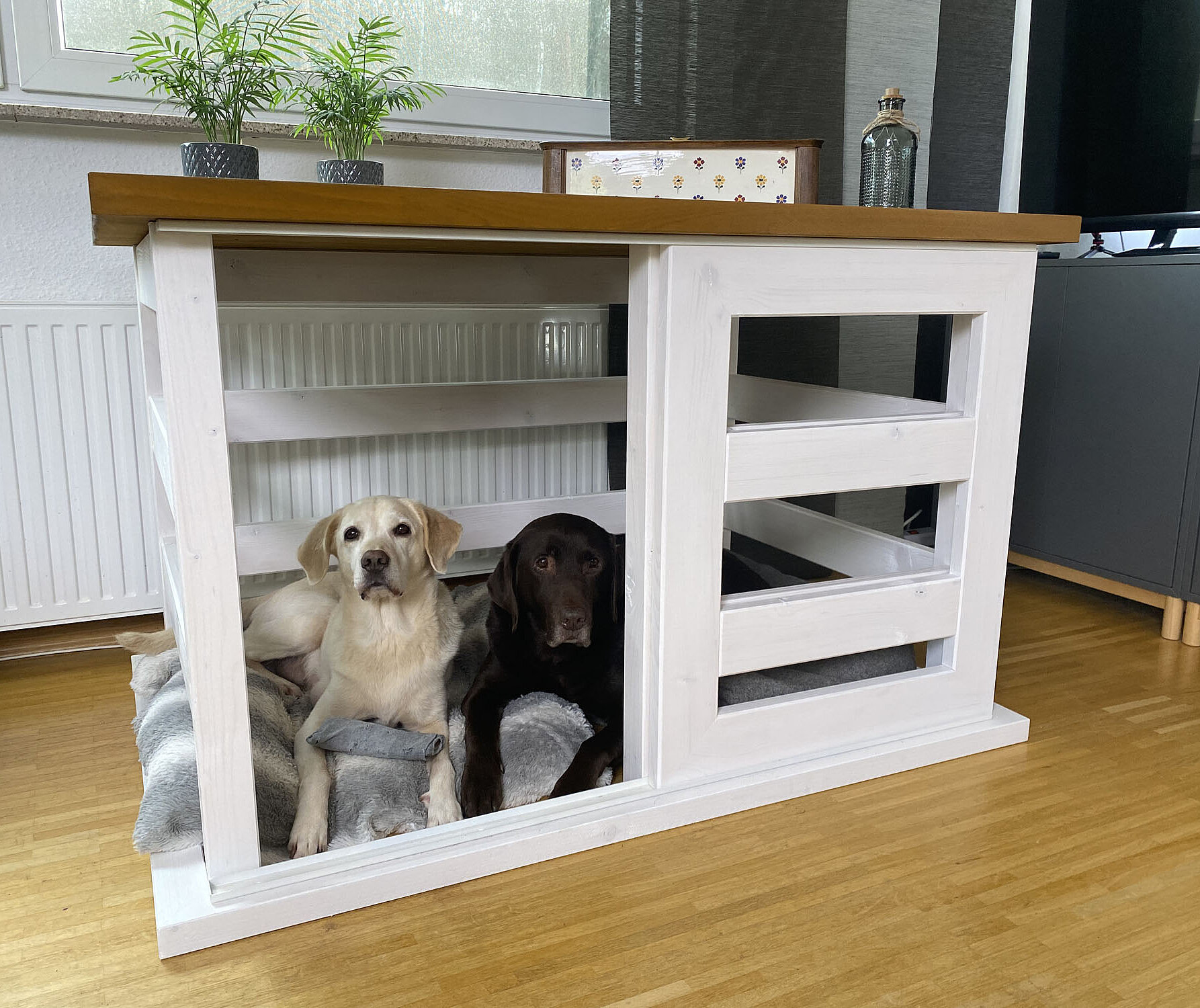 Stylische Hundebox in XL