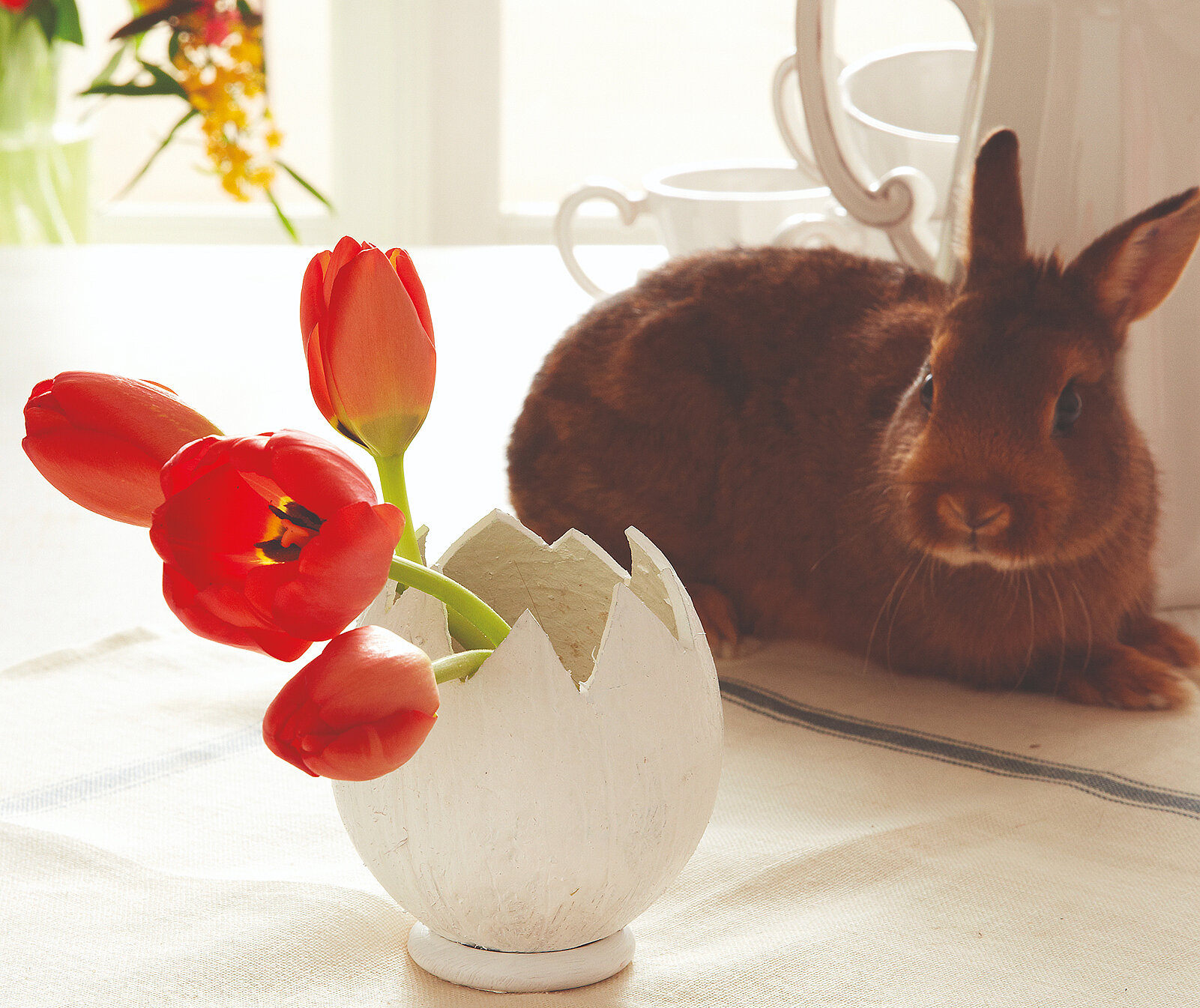 Bastelidee: Blumenvase aus Kokosnuss