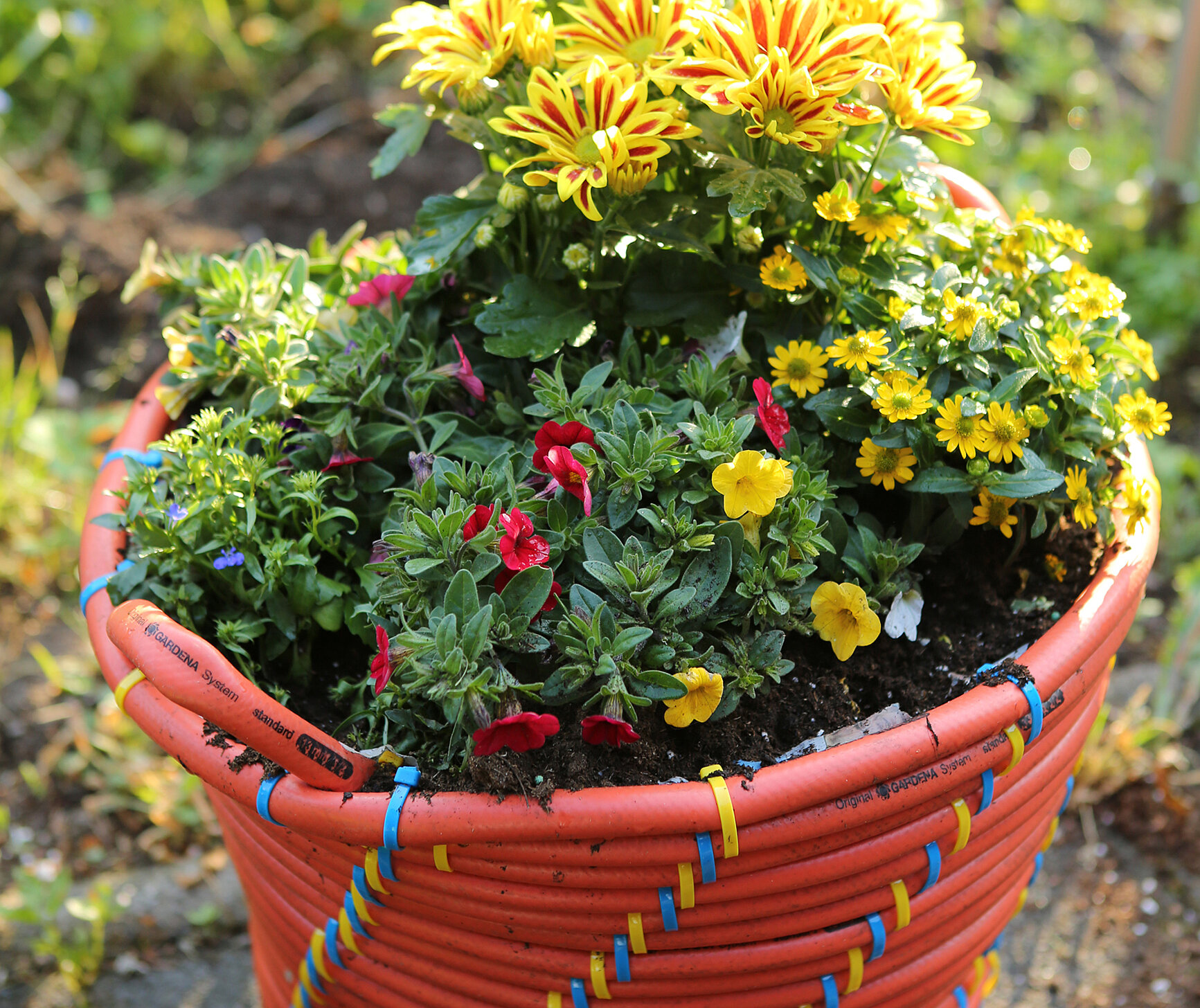 Gartenschlauch wird zum Pflanzkübel