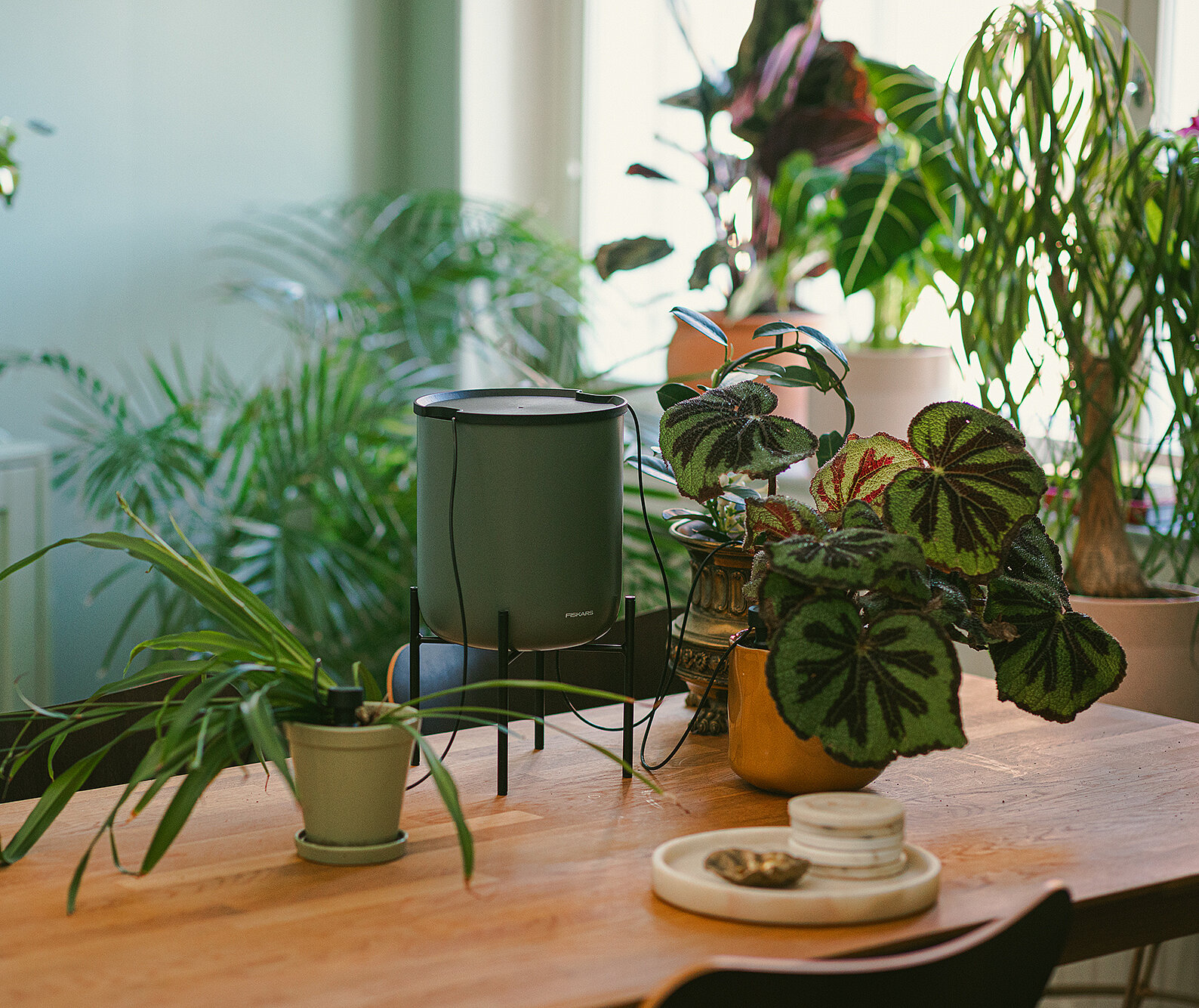 Urban Gardening: Helfer für Balkon & Fensterbank