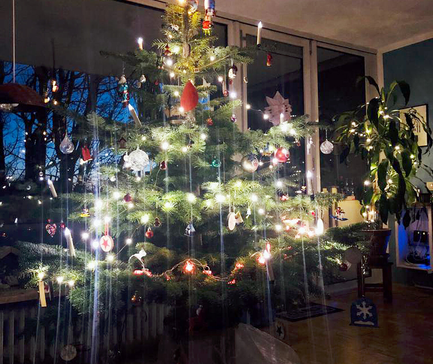 Nachhaltiger Weihnachtsbaum