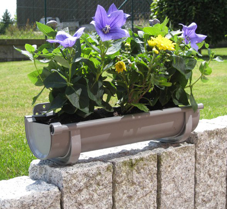 Blumen aus der Rinne
