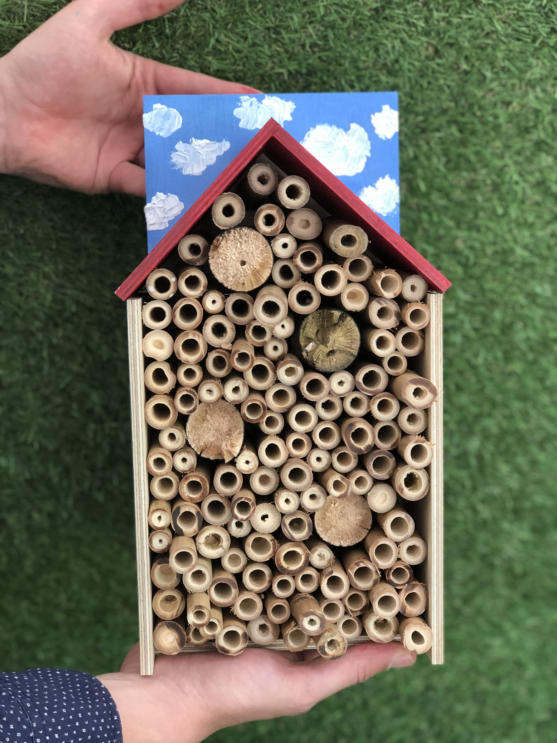 Ein Heim für Wildbienen